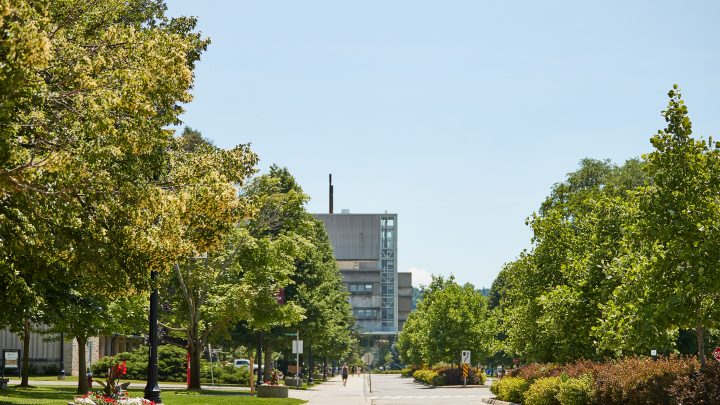 McMaster in the summer